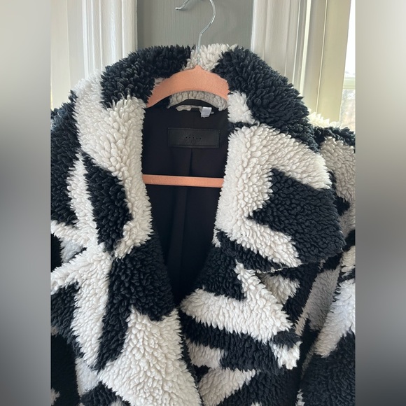 Love Bird Trench Coat - Picture 4 of 5